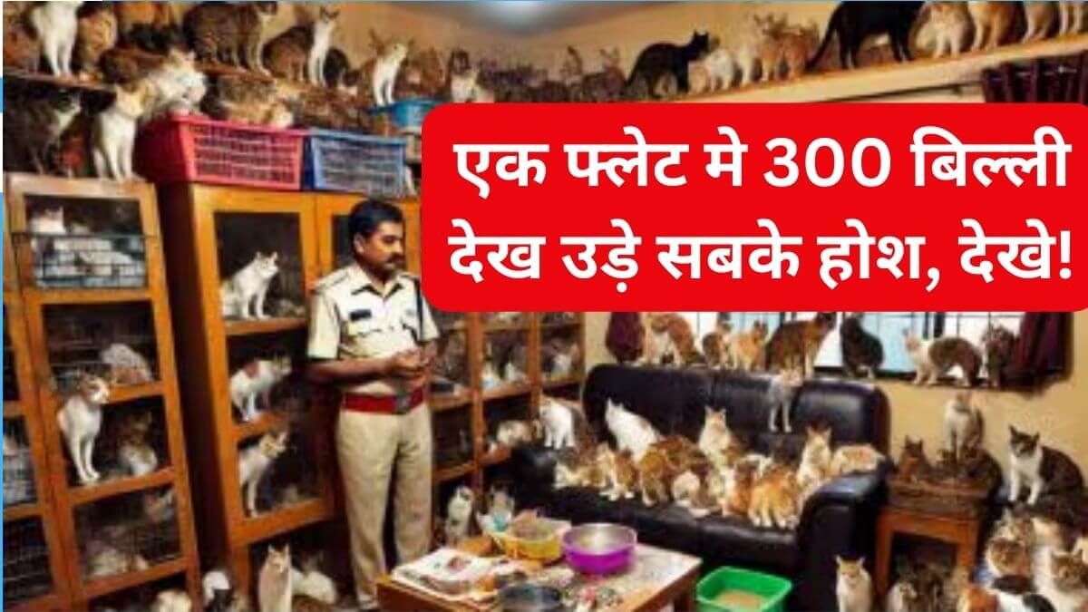 Pune 300 Cats Viral Video यह घटना सिर्फ पुणे तक सीमित नहीं है। देशभर में कई शहरों में इस तरह के मामले सामने आए हैं, जहां पशु प्रेमी कई जानवरों को एक साथ अपने घर में रखते हैं, लेकिन बाद में यह संख्या नियंत्रण से बाहर हो जाती है। नगर निगमों को ऐसे मामलों से निपटने के लिए एक स्पष्ट नीति बनानी होगी ताकि पशु प्रेमियों और स्थानीय निवासियों के बीच संतुलन बना रहे।